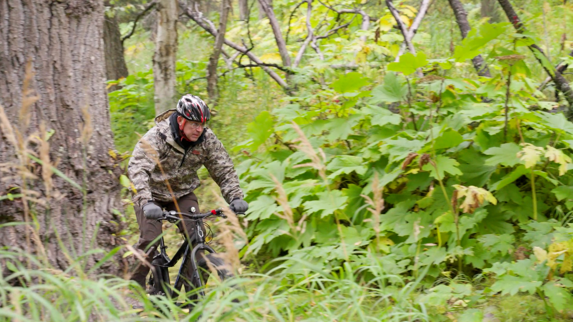 Kincaid Biking 2